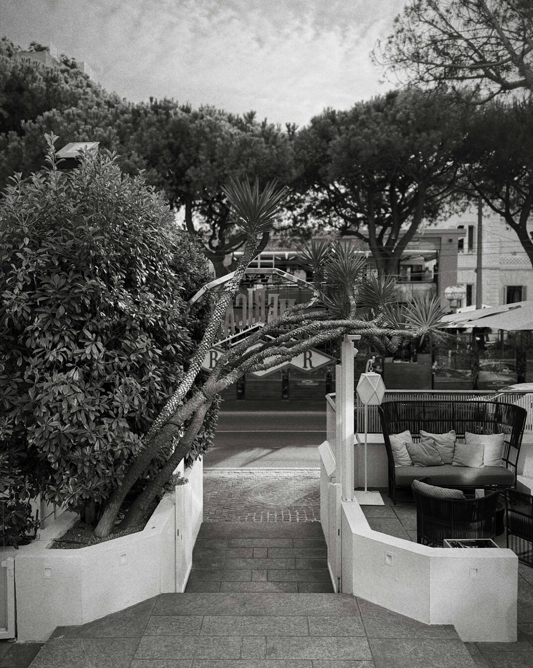 celebrity garden patio